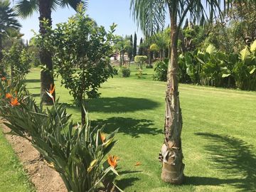 Venta de Rancho con áreas de siembra en Atlixco, Puebla