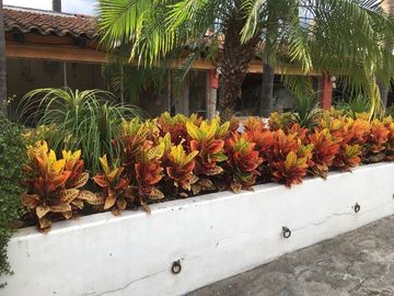 Venta de Rancho con áreas de siembra en Atlixco, Puebla
