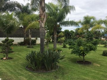 Venta de Rancho con áreas de siembra en Atlixco, Puebla