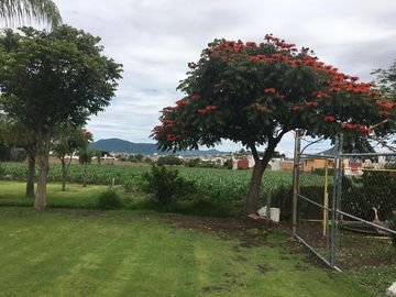 Venta de Rancho con áreas de siembra en Atlixco, Puebla