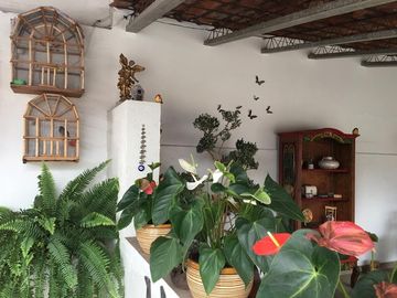 Venta de Rancho con áreas de siembra en Atlixco, Puebla