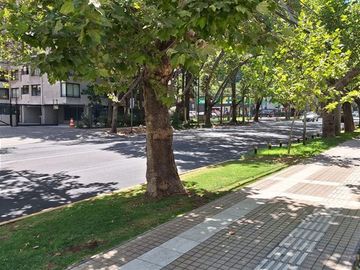 Departamento en Venta en Cristóbal Colon / Alcantara