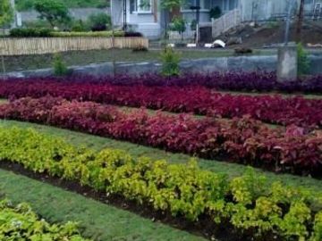rumah minimalis yang indah dengan nuansa RESORTnya bikin nyaman dan Betah di Rumah Lokasi Bandung Selatan