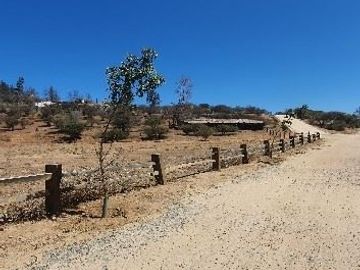 Parcela en Venta en Camino Lo Orozco Acceso Los Quillayes
