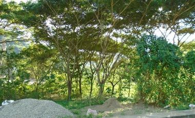 Affordable 130 Sqm Flat Lot for Sale in Greenwoods near Talamban Cebu City