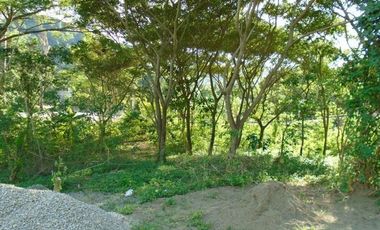 Affordable 130 Sqm Flat Lot for Sale in Greenwoods near Talamban Cebu City