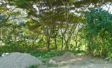 Affordable 130 Sqm Flat Lot for Sale in Greenwoods near Talamban Cebu City