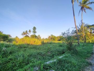 Dijual Tanah di Utara Jalan Besi Jangkang, Dekat Jakal