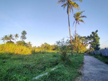 Dijual Tanah di Utara Jalan Besi Jangkang, Dekat Jakal