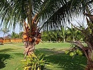 Puerto Cayo: Se Vende Casa Cerca del Mar en Puerto Cayo