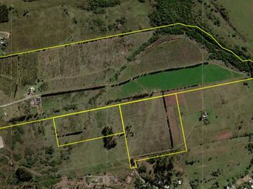 Campo de 68 has. Emprendimiento  olivícola a  20 minutos de Punta del Este