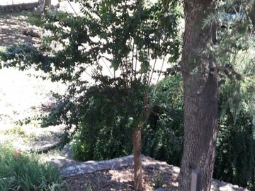 Casa en Estancia Vieja,solo tenes que comprarla y disfrutar de un lugar paradisíaco u$$100000