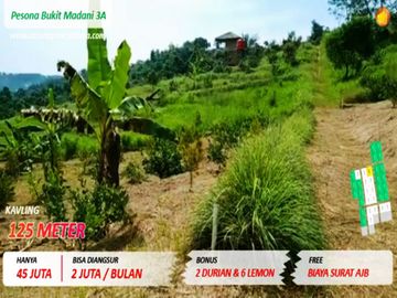 90 Juta Tanah Seluas 250 Meter di Bogor WA : 0814-1356-----