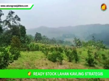 90 Juta Tanah Seluas 250 Meter di Bogor WA : 0814-1356-----