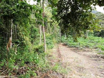 Venta de finca productiva en Churute 11has con arroz, cacao, cafe, papaya, maracuya y similares