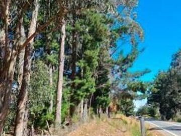 Parcela en Venta en Ruta P-72-S