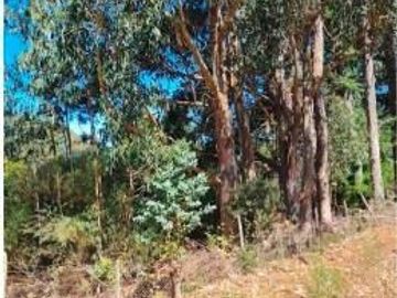 Parcela en Venta en Ruta P-72-S