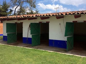 Vendo Rancho en Villa Victoria, Méx