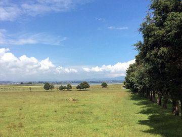 Vendo Rancho en Villa Victoria, Méx