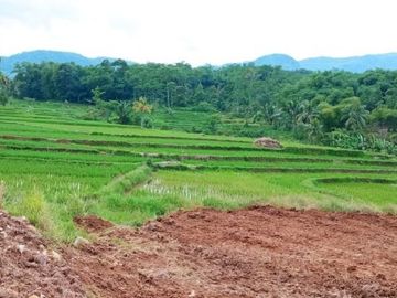 Bukan di Pelosok!! 50 jutaan dapat Kavling Kebun Buah Kota Bogor Barat