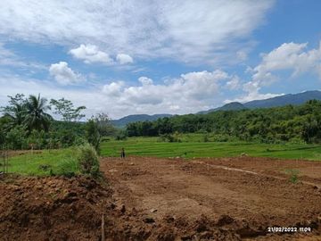 Bukan di Pelosok!! 50 jutaan dapat Kavling Kebun Buah Kota Bogor Barat