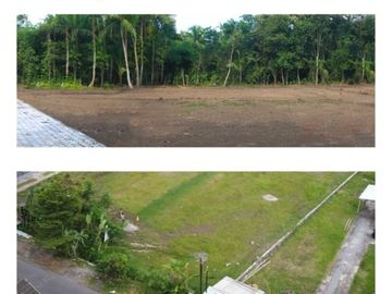 Tanah Kapling Bogor Dekat Jl. Serpong - Parung; Hanya 1 Jt-an