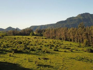Sitio en Venta en Parcelas rio lircay