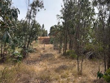 Terreno de 10.800 m en El Tabo