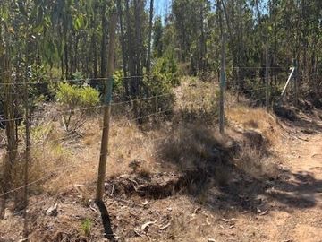 Terreno de 10.800 m en El Tabo