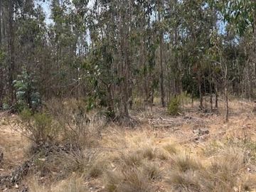 Terreno de 10.800 m en El Tabo