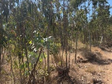 Terreno de 10.800 m en El Tabo