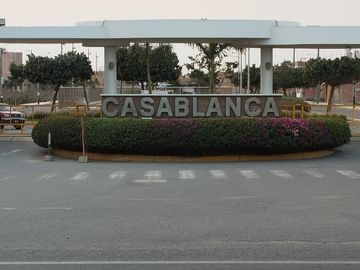 ✨¡GRAN OPORTUNIDAD de adquirir un lote urbano en una de la mejores zonas de la provincia de Chiclayo! ✨
🗾Zona de alto potencial en desarrollo urbano,