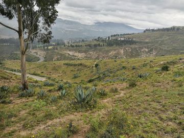 VENTA TERRENO INDUSTRIAL NORTE, 14,9 HECTAREAS