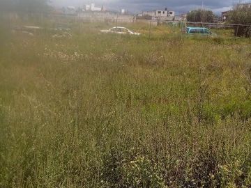 TERRENO EN VENTA EN METEPEC, ESTADO DE MÉXICO