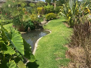 Venta Pakakuna Gardens en Checa villa amplia