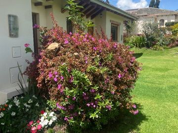 Venta Pakakuna Gardens en Checa villa amplia
