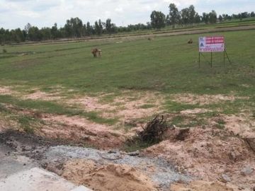 Land for sale in Roi Et on 3 sides of the road