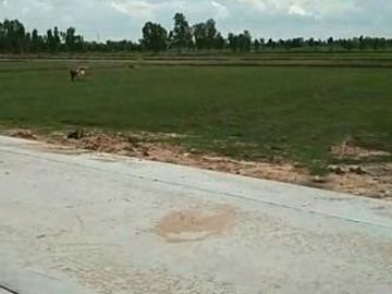 Land for sale in Roi Et on 3 sides of the road