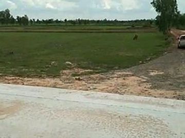 Land for sale in Roi Et on 3 sides of the road