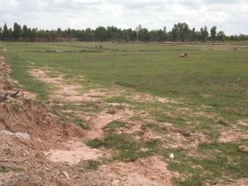 Land for sale in Roi Et on 3 sides of the road