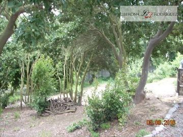 Parcela en Venta en Parcela con casa y cabala en Campomar 4