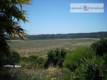 Parcela en Venta en Parcela con casa y cabala en Campomar 4