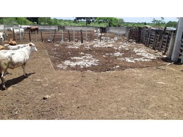 Venta Rancho ganadero Espita Yucatán