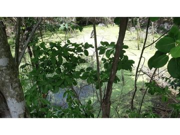 Venta Rancho ganadero Espita Yucatán