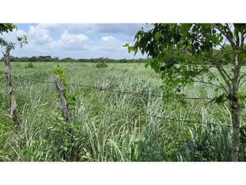 Venta Rancho ganadero Espita Yucatán