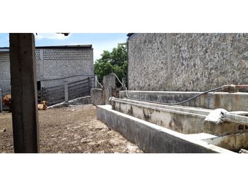 Venta Rancho ganadero Espita Yucatán