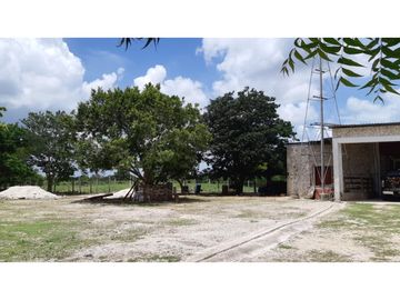 Venta Rancho ganadero Espita Yucatán