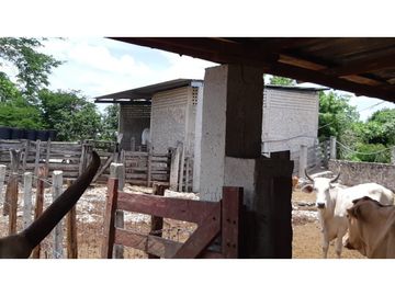 Venta Rancho ganadero Espita Yucatán