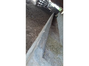 Venta Rancho ganadero Espita Yucatán