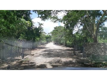 Venta Rancho ganadero Espita Yucatán